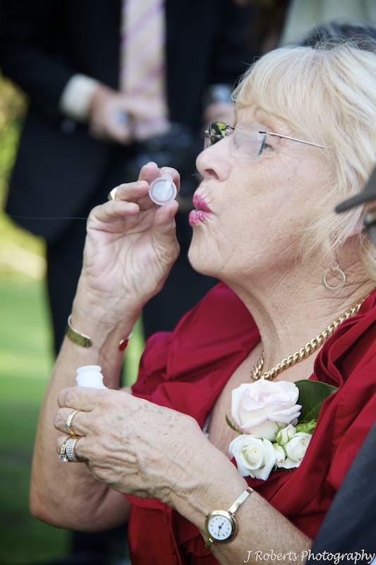 Mother blowing bubbles - wedding photography sydney